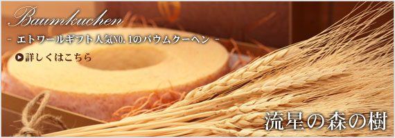 Baumkuchen - Gg[MtglCNo.1̃oEN[wh̐X̎h